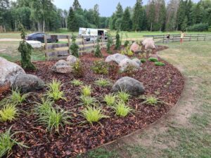 Metallist peenraääris istutusala rajamine