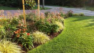 Istutusala metallist peenraääris peenrapiire