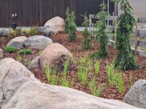 Istutusala rajamine Toosikannu puhkekeskuses