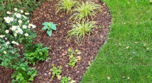 Metallist peenraääris peenrapiire istutusala piire